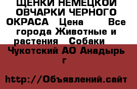 ЩЕНКИ НЕМЕЦКОЙ ОВЧАРКИ ЧЕРНОГО ОКРАСА › Цена ­ 1 - Все города Животные и растения » Собаки   . Чукотский АО,Анадырь г.